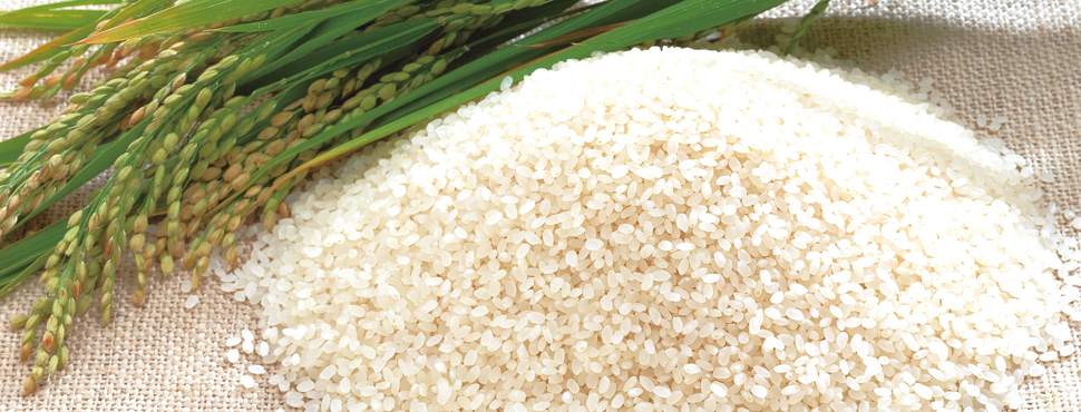うまい米が食いたいと思うのは日本人なら当然だ